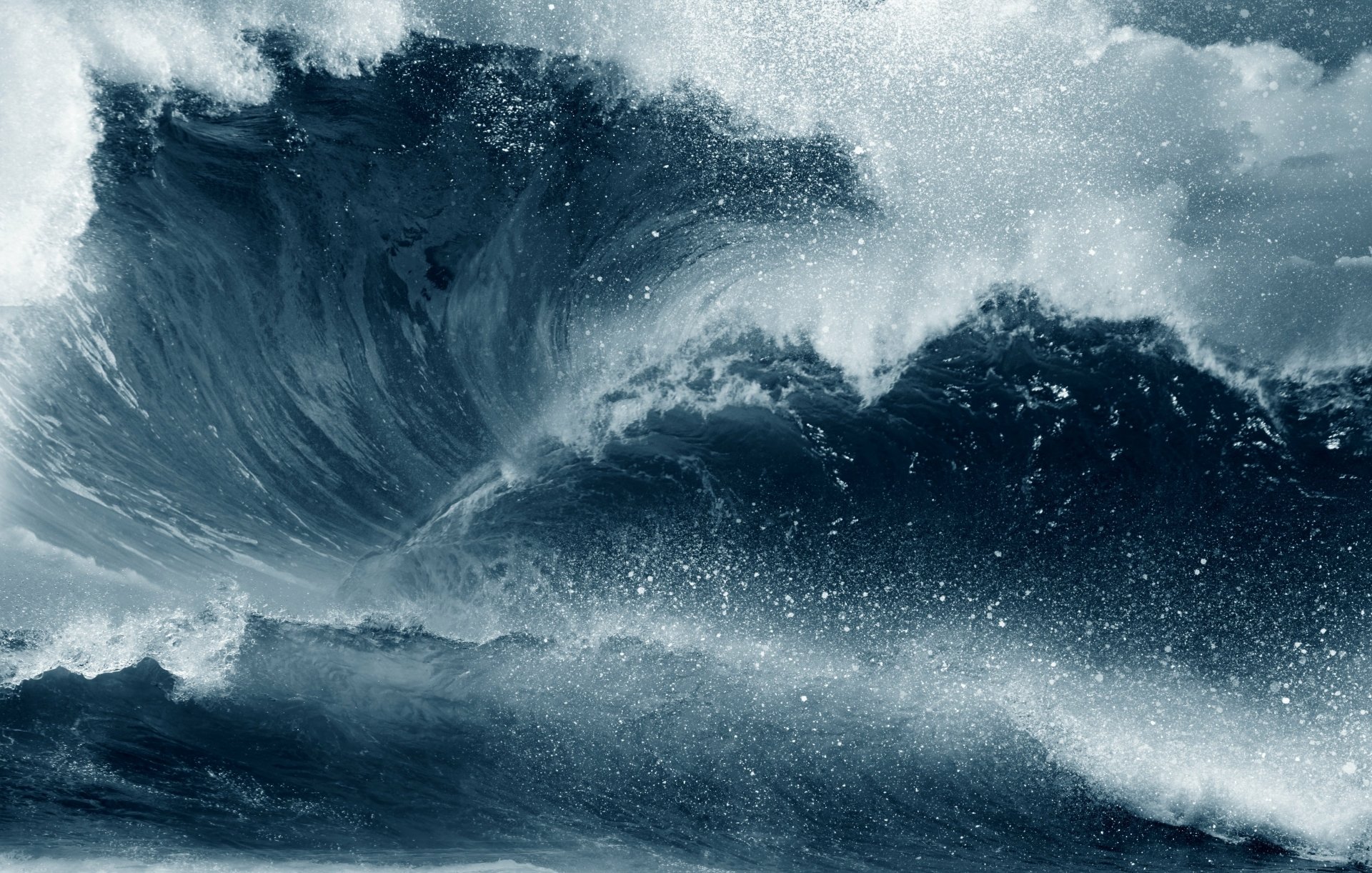 A large dark-blue ocean wave breaking into white spray.